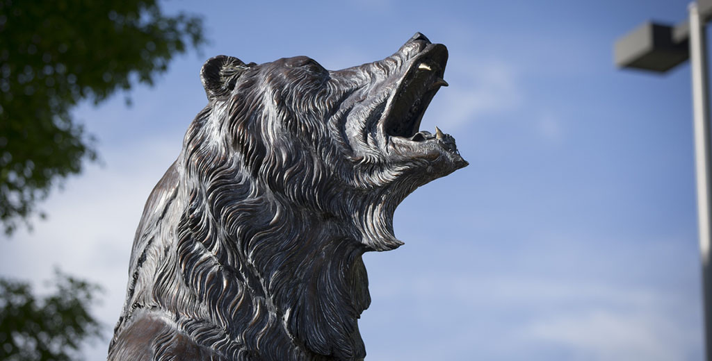 Grizzly Volleyball team goes 3-1 at Grizzly Invitational